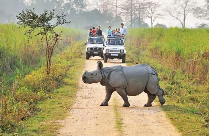  Kaziranga