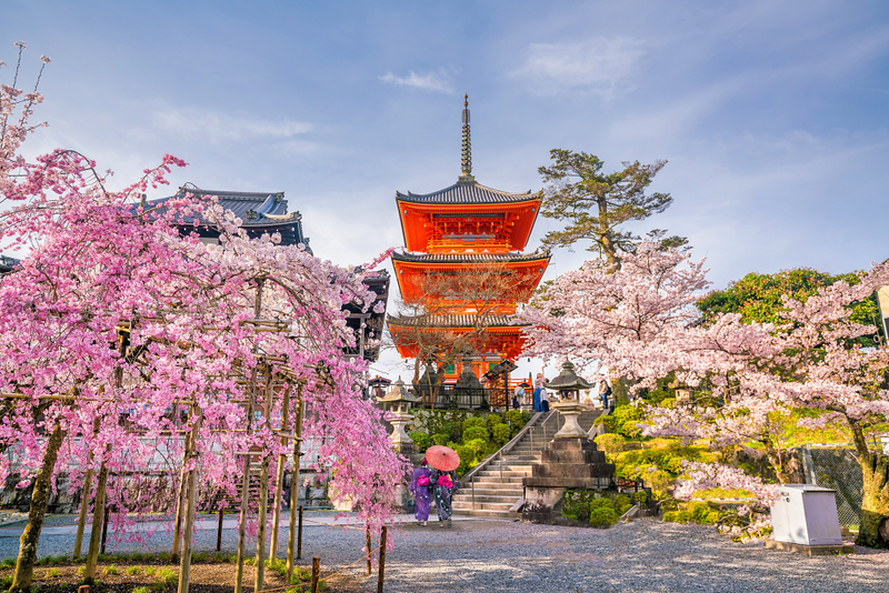 Japan Tourism